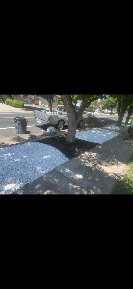 Custom lawn mowing service experts serving San Jose, CA - P & S Cleaning Service