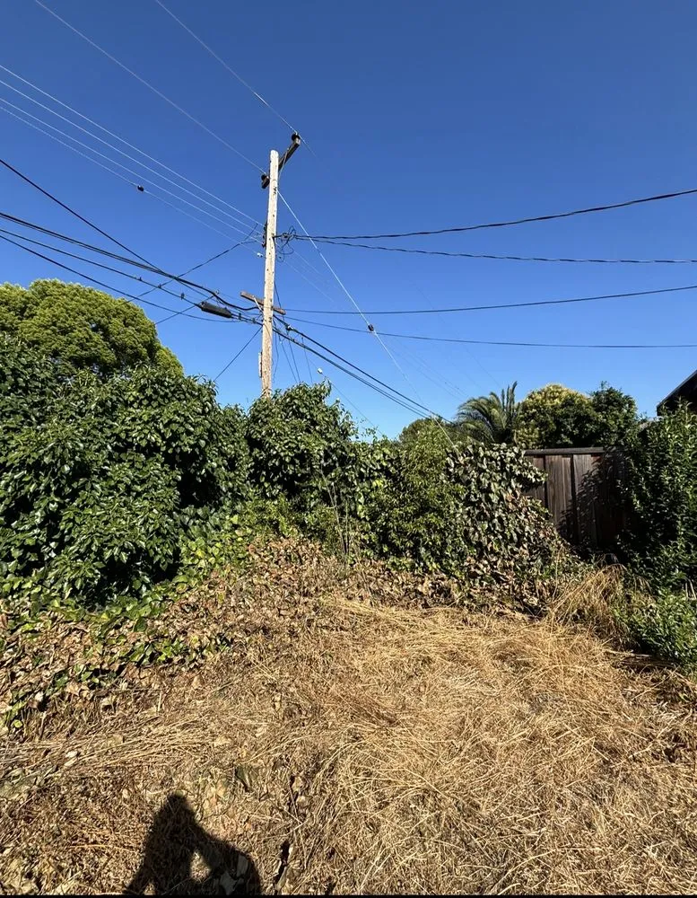 Professional landscaping services experts serving San Jose, CA - P & S Cleaning Service