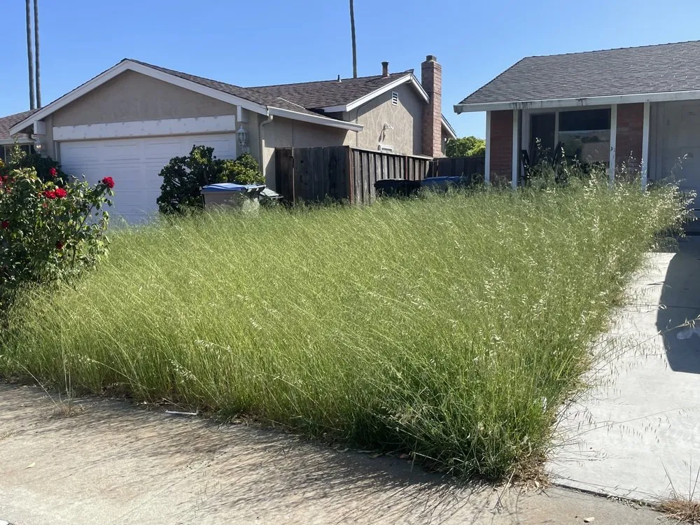 Expert garden landscaping experts serving San Jose, CA - P & S Cleaning Service