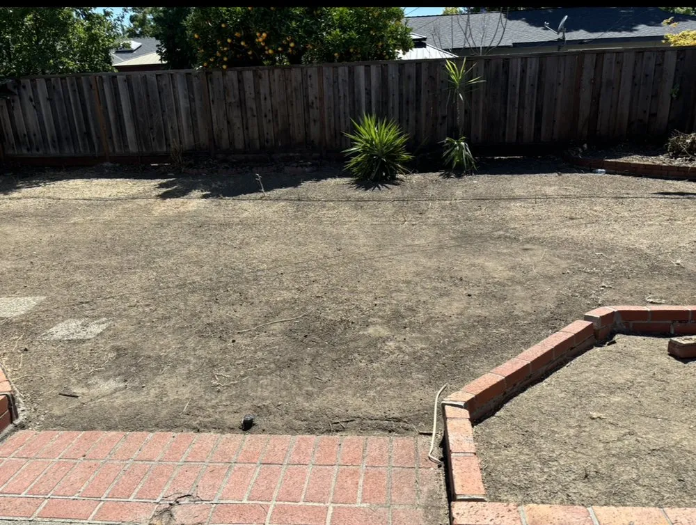 Affordable landscape design in San Jose, CA - P & S Cleaning Service