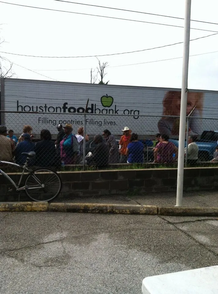 Affordable landscaping services for year-round maintenance in Houston, TX by P & T Industries