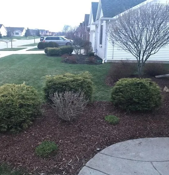 Reliable yard maintenance experts serving Perrysburg, OH - P and B Landscape