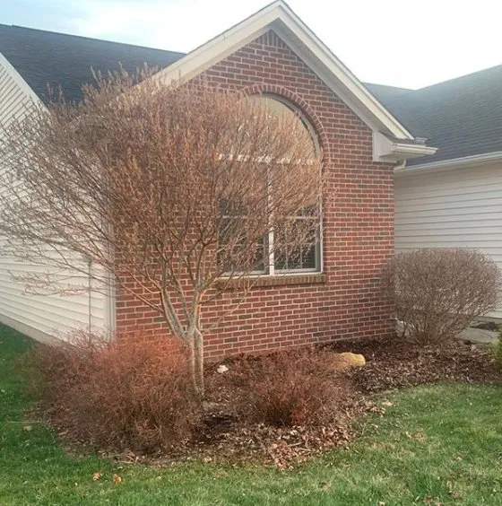 Expert yard cleanup service in Perrysburg, OH - P and B Landscape