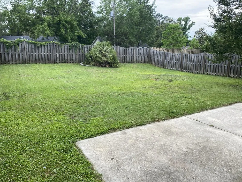 Affordable yard cleanup service for beautiful yards across Summerville, SC - P and J mowing and moving