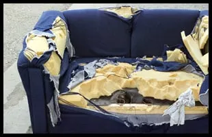 Trusted lawn mowing service in Hagerstown, MD by P B Haulin