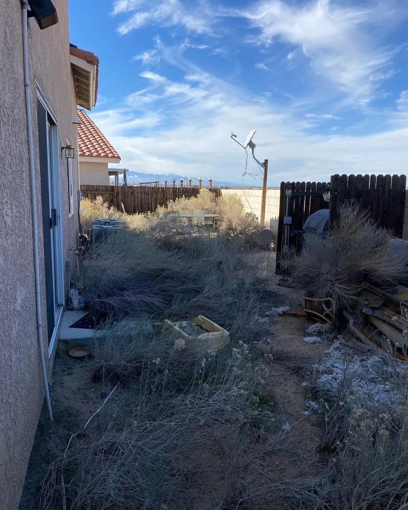 Local yard cleanup service in Rialto, CA by P. Crew Hauling