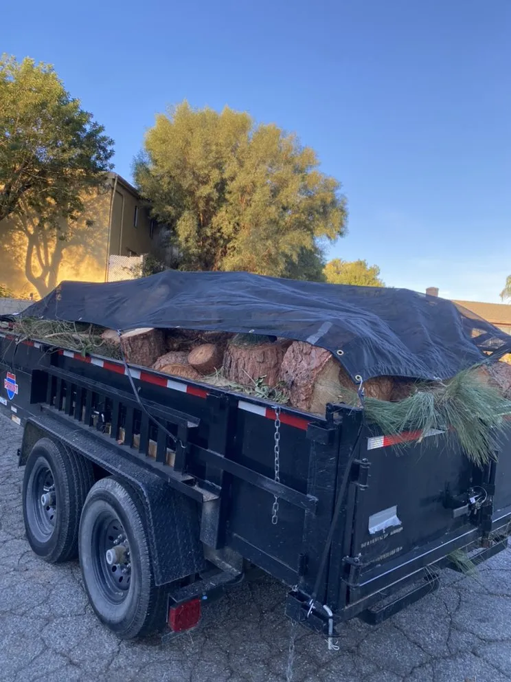 Top-rated residential landscaping in Rialto, CA - P. Crew Hauling