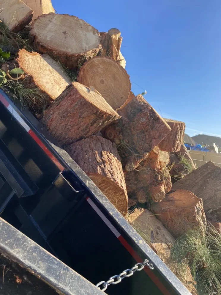 Top-rated yard cleanup service for beautiful yards across Rialto, CA - P. Crew Hauling