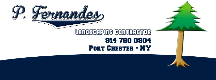 Expert landscaping services for beautiful yards in Port Chester, NY by P Fernandes Landscaping