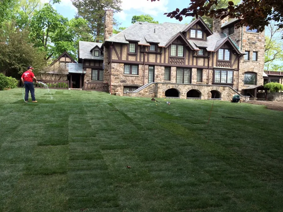 Expert landscape installation for outdoor upgrades in Port Chester, NY by P Fernandes Landscaping