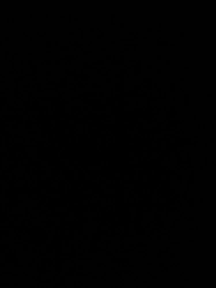 Custom yard maintenance for residential properties across Richmond, VA - P I R Landscaping and Lawn Care