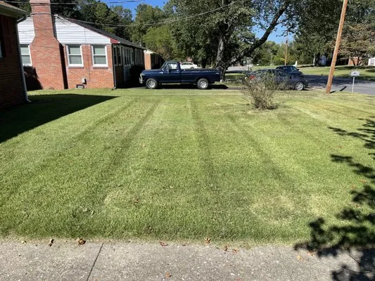 P I R Landscaping and Lawn Care Logo