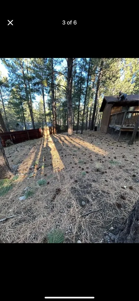 Reliable residential landscaping experts serving Flagstaff, AZ - P Pine Landscaping