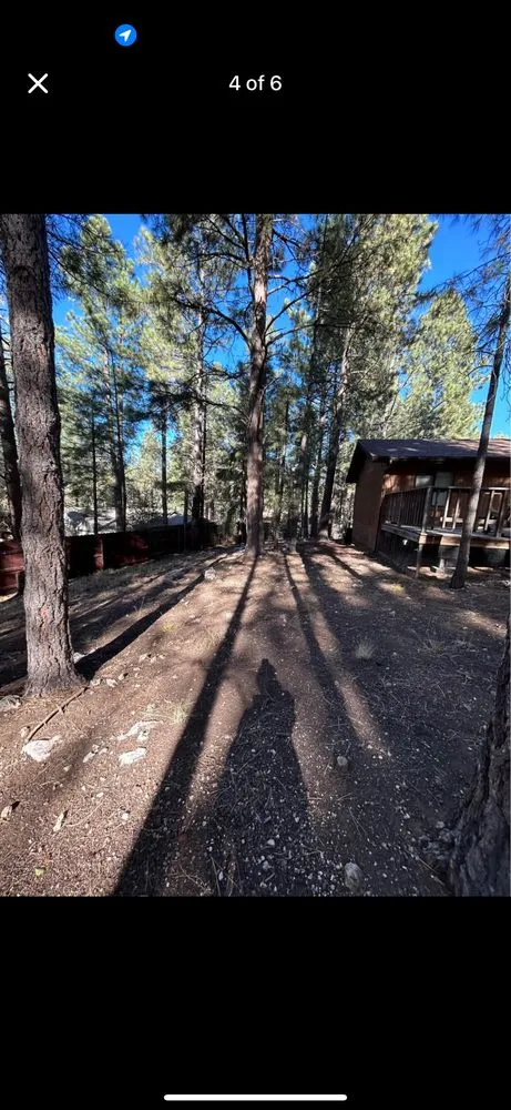 Custom yard maintenance in Flagstaff, AZ - P Pine Landscaping