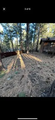 P Pine Landscaping Logo