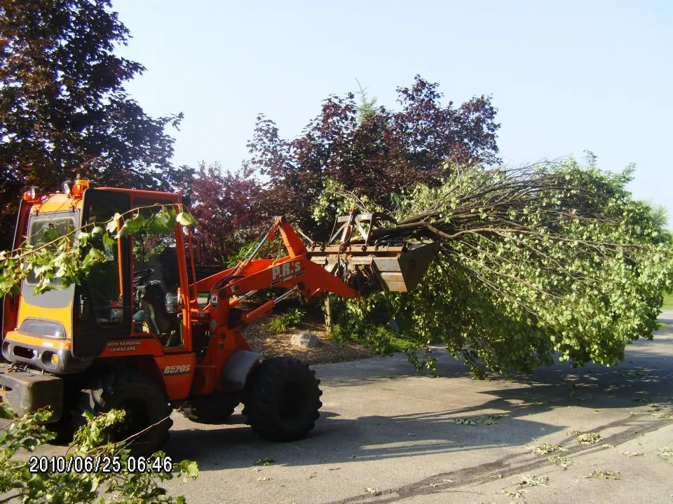 Affordable lawn care service experts serving La Porte, IN - P. R.'s Lawn Care