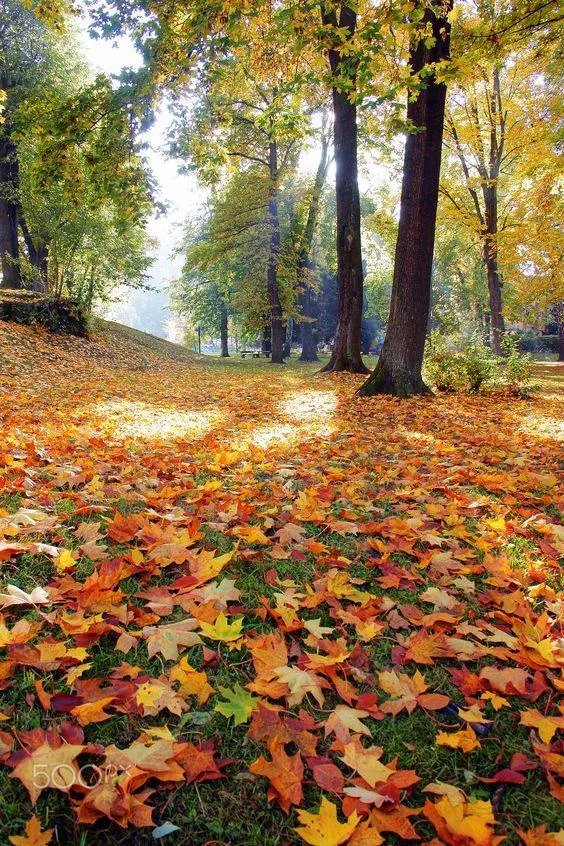 Trusted garden landscaping in La Porte, IN - P. R.'s Lawn Care