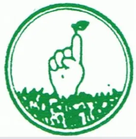 Professional landscape design in Pelham, AL - P S Site Management Consultants