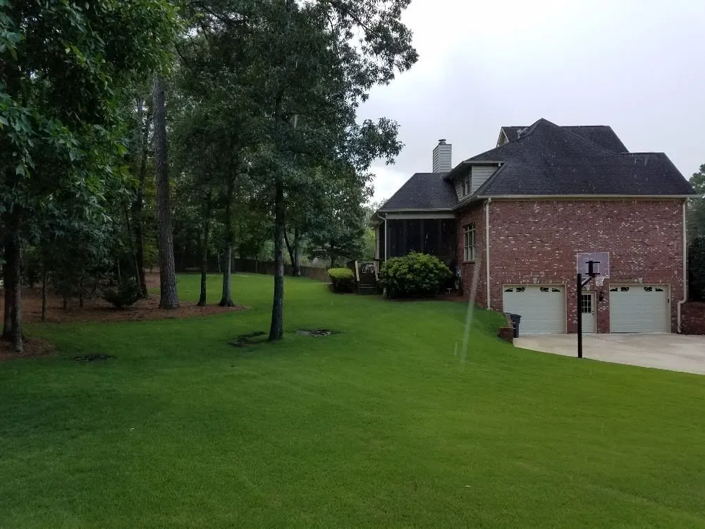 Professional yard cleanup service in Pelham, AL by P S Site Management Consultants