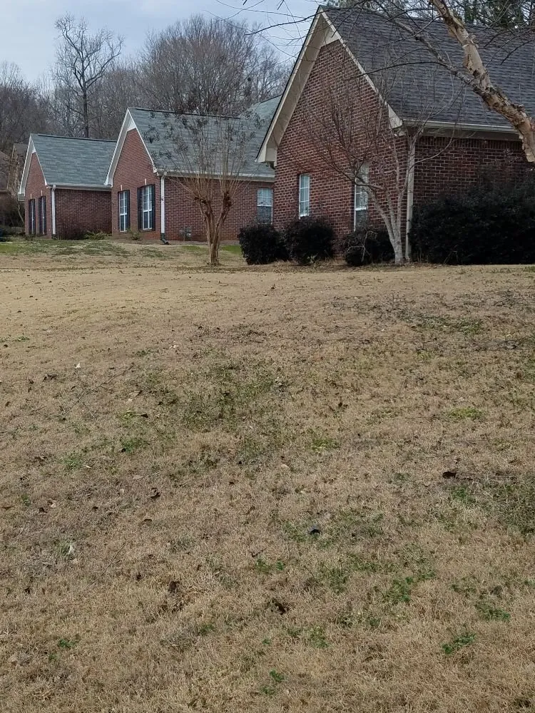 Professional lawn mowing service with custom design in Pelham, AL by P S Site Management Consultants