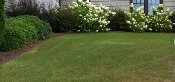Trusted landscaping services with custom design across Pelham, AL - P S Site Management Consultants