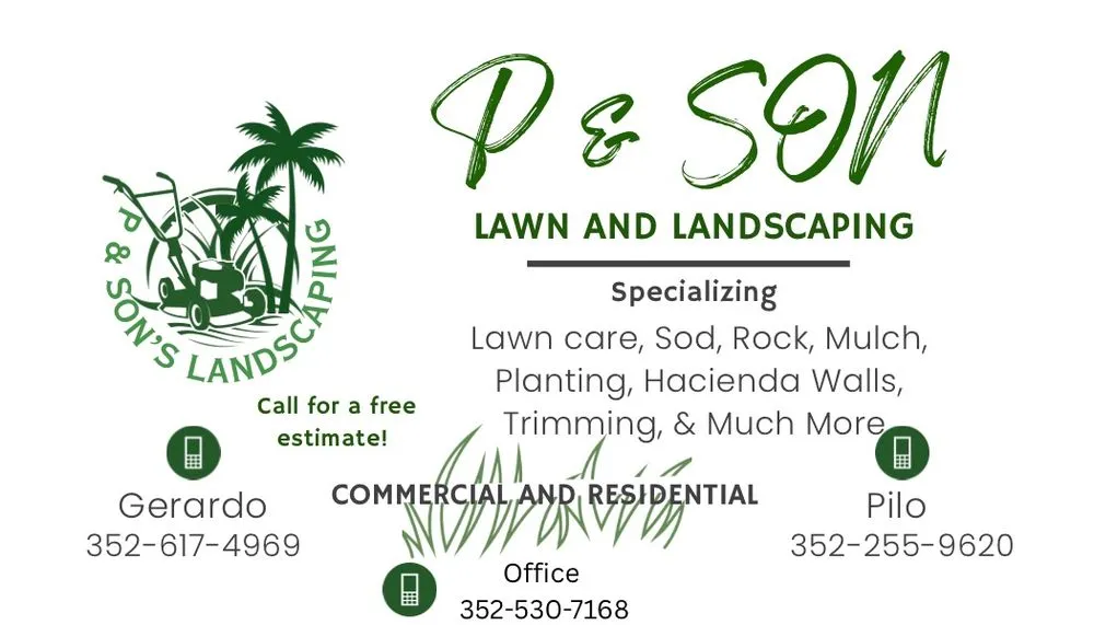 Affordable outdoor landscaping in Leesburg, FL by P& Son Lawn And Landscaping
