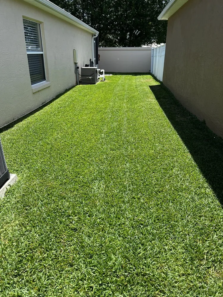 Reliable residential landscaping experts serving Leesburg, FL - P& Son Lawn And Landscaping