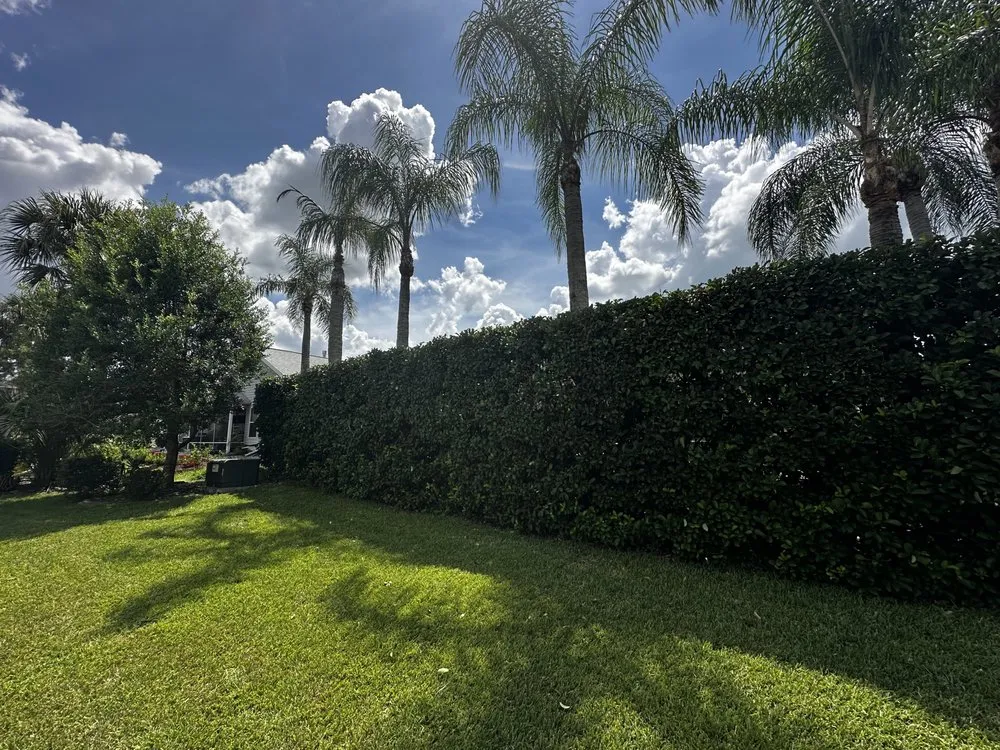 Local yard maintenance experts serving Leesburg, FL - P& Son Lawn And Landscaping