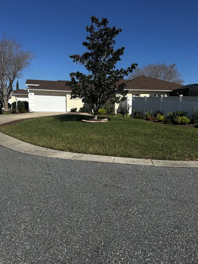 Affordable landscape installation in Leesburg, FL by P& Son Lawn And Landscaping