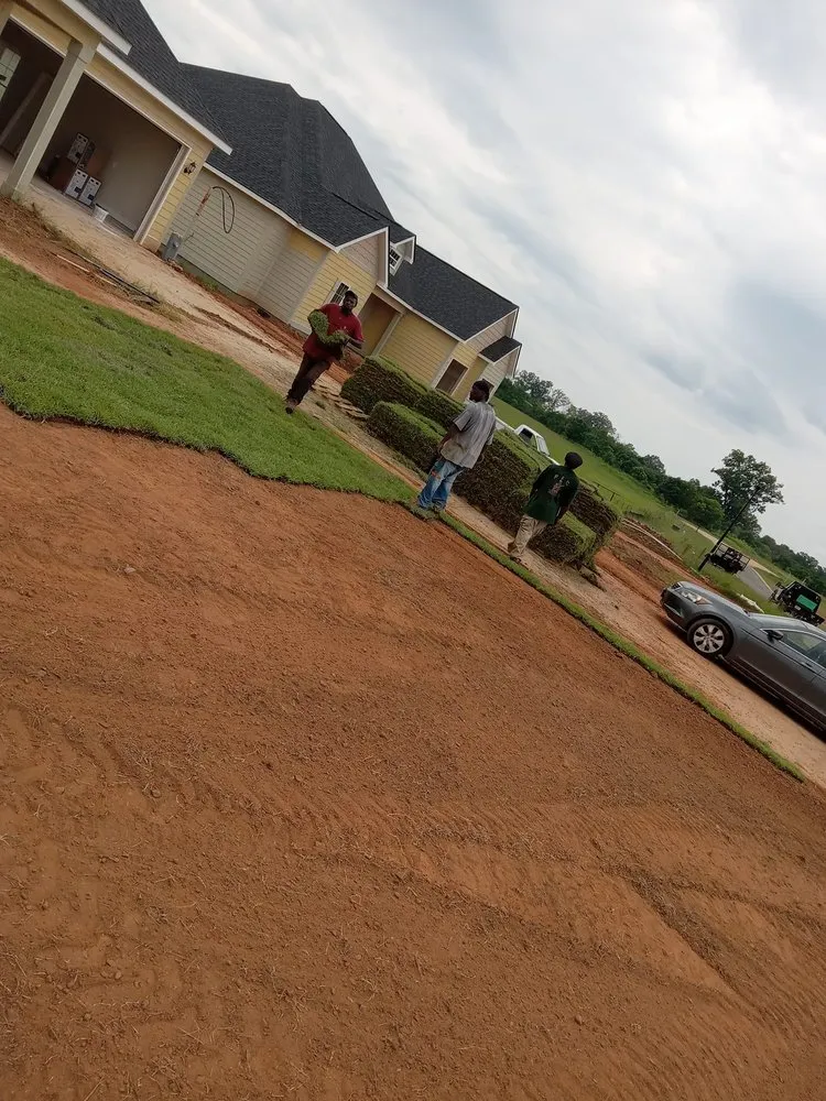 Custom residential landscaping for year-round maintenance across Albany, GA - P Thomas Handyman Services