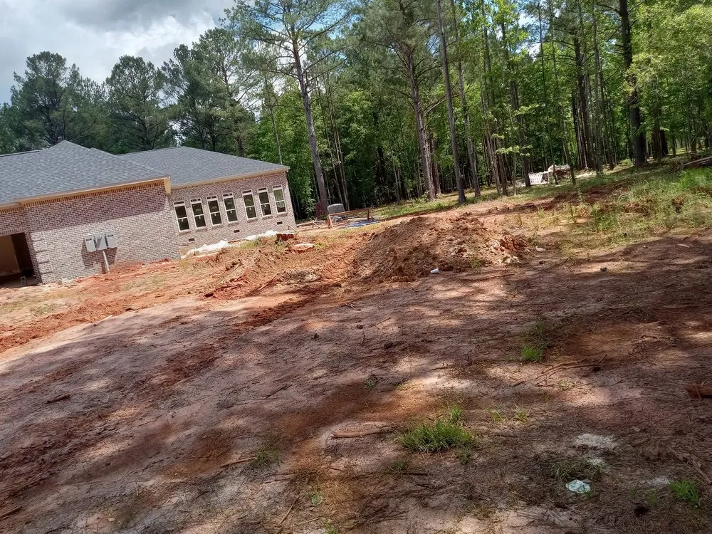 Professional yard cleanup service in Albany, GA - P Thomas Handyman Services