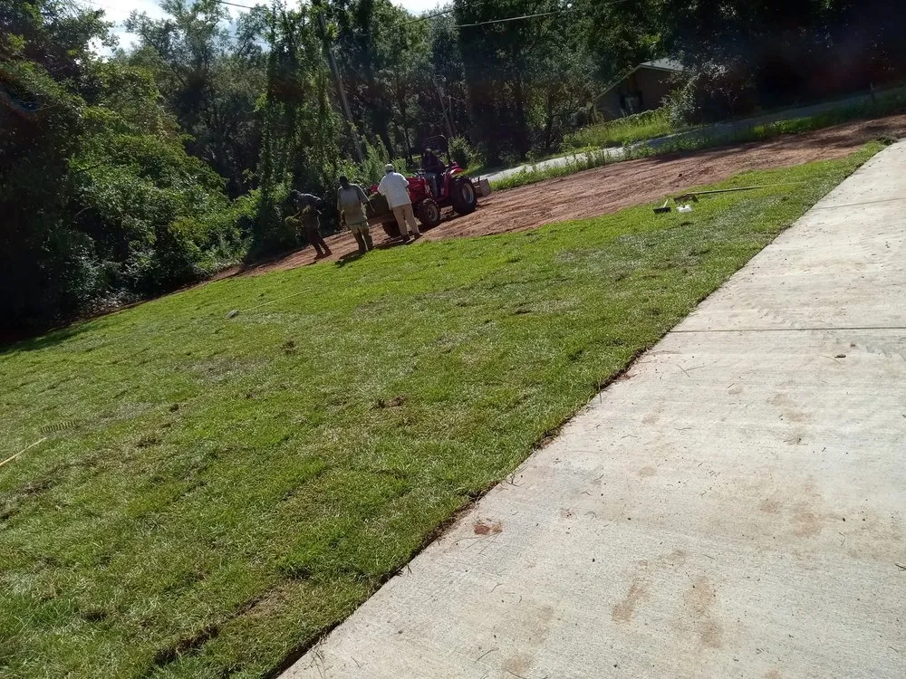 Top-rated lawn mowing service in Albany, GA by P Thomas Handyman Services