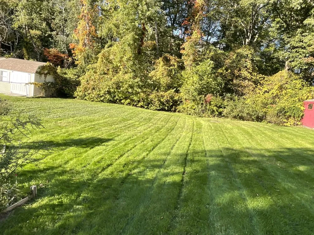 Top-rated lawn care service in Hamden, CT by P Tree United Services