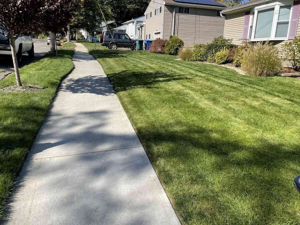 Custom yard cleanup service in Hamden, CT by P Tree United Services