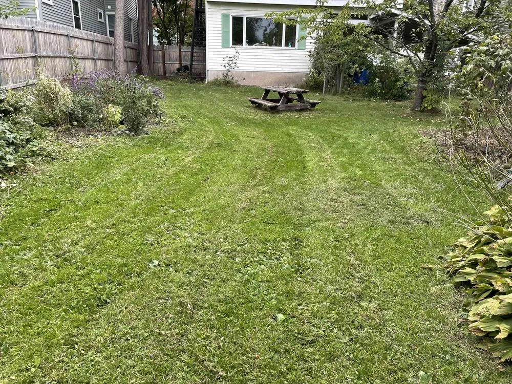 Trusted residential landscaping in Hamden, CT - P Tree United Services