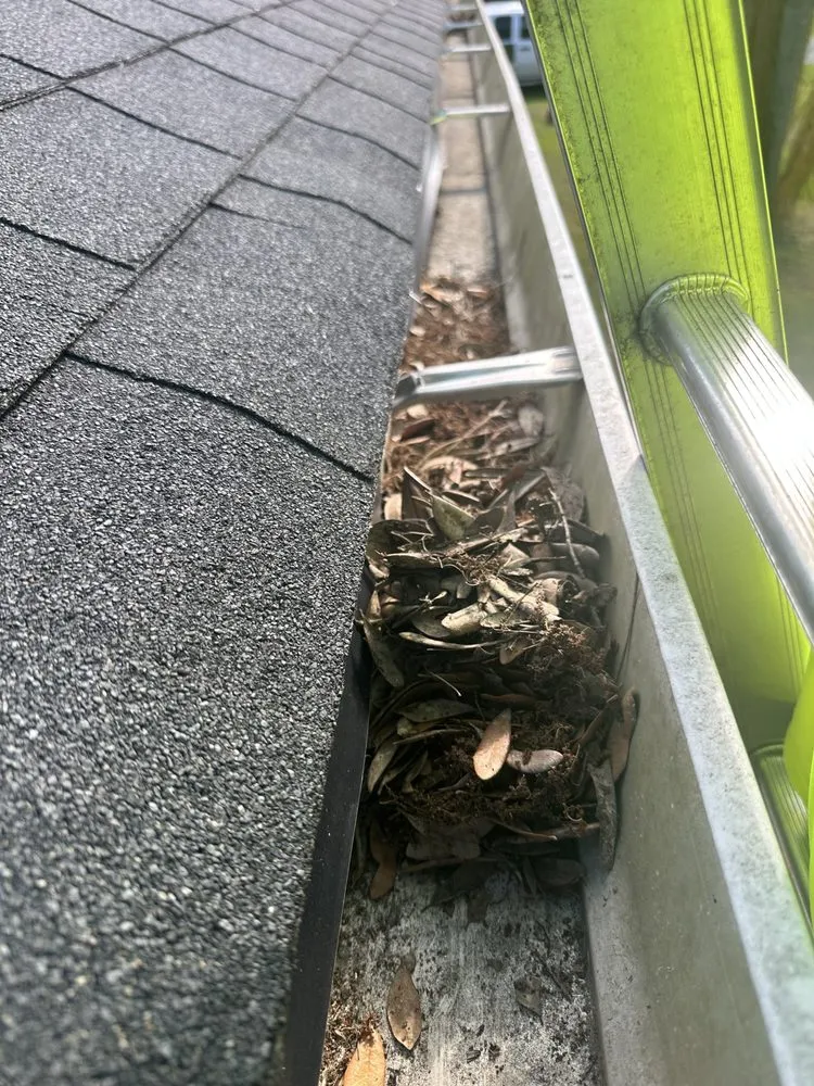 Professional lawn care service in Palm coast, FL - P W Custom Designs