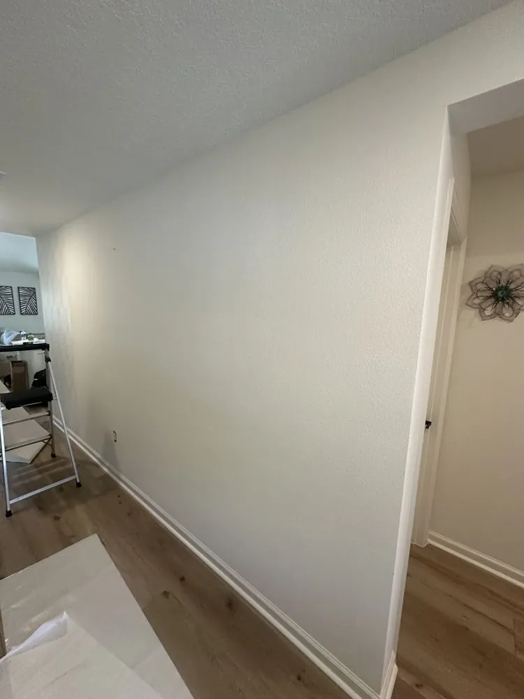 Local yard maintenance for year-round maintenance across Palm coast, FL - P W Custom Designs