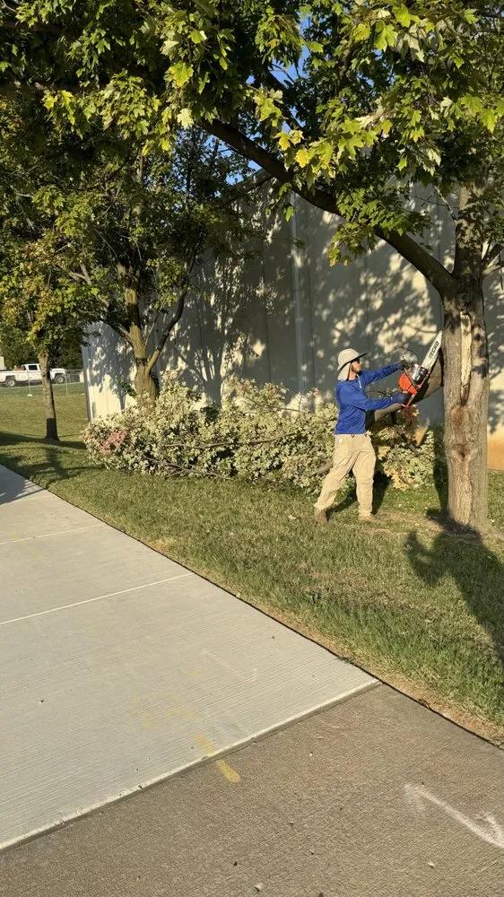 Expert outdoor landscaping for year-round maintenance across Collinsville, OK - P3s Landscaping