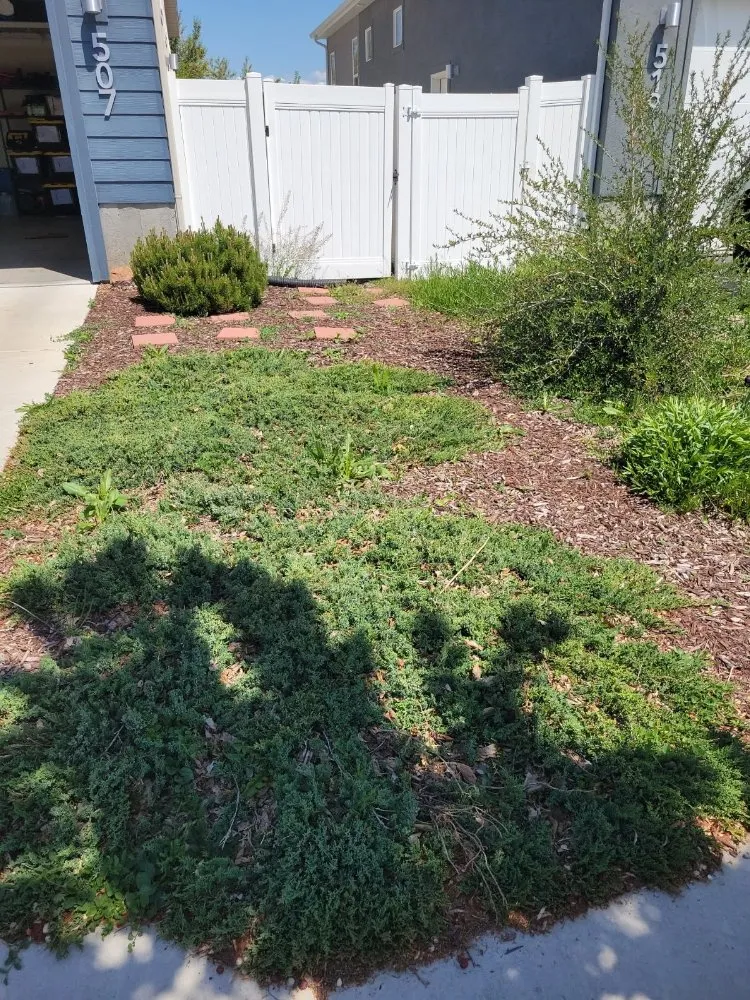 Top-rated residential landscaping experts serving Eagle Mountain, UT - P7 Concrete & Landscaping