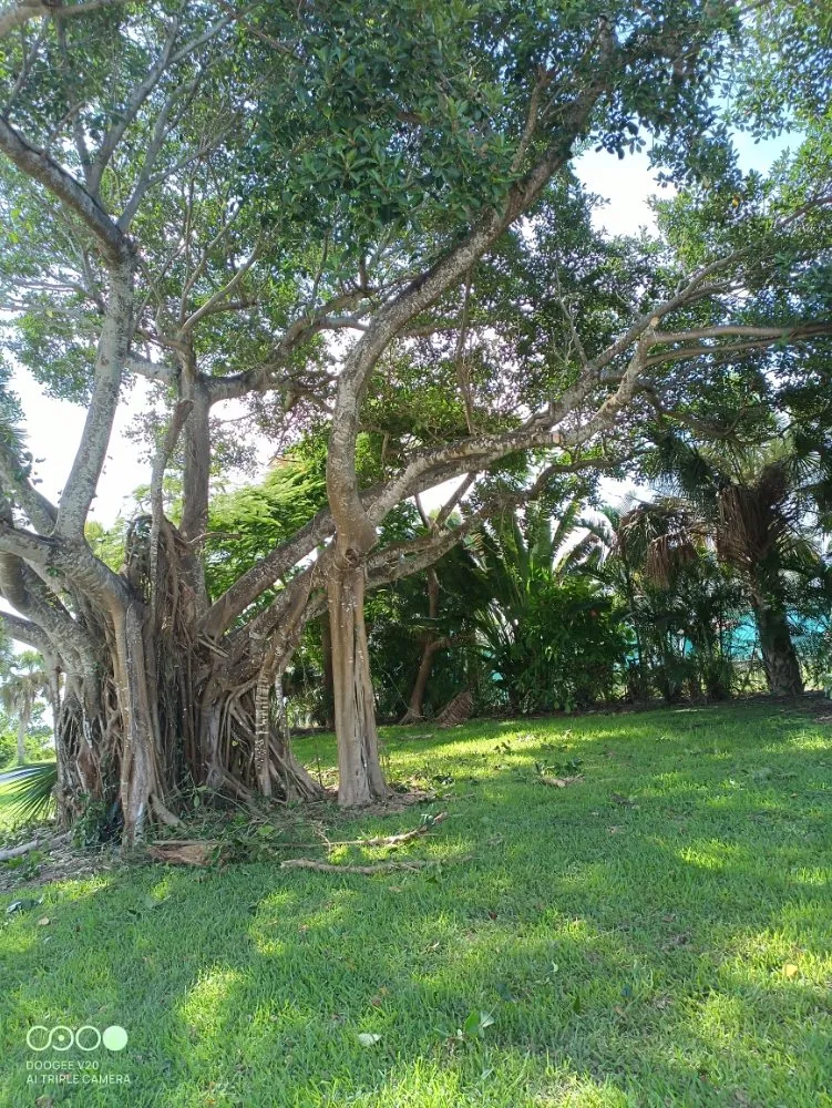 Expert outdoor landscaping experts serving Fort Pierce, FL - Pa Ma Lawn Service