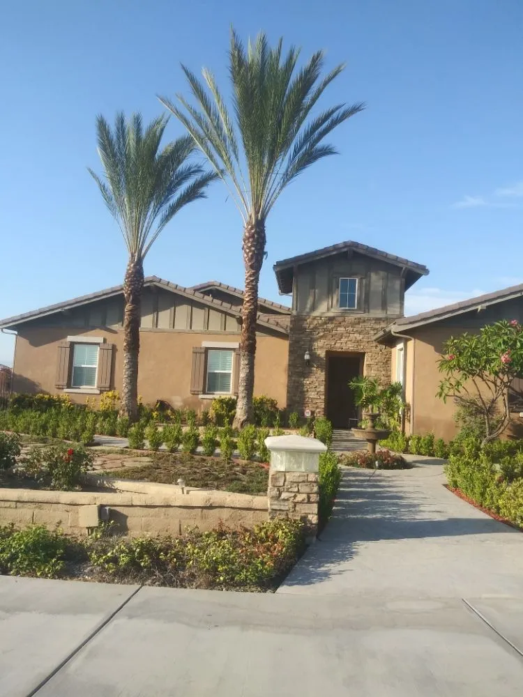 Affordable yard cleanup service experts serving Riverside, CA - Pablo Andres Landscaping