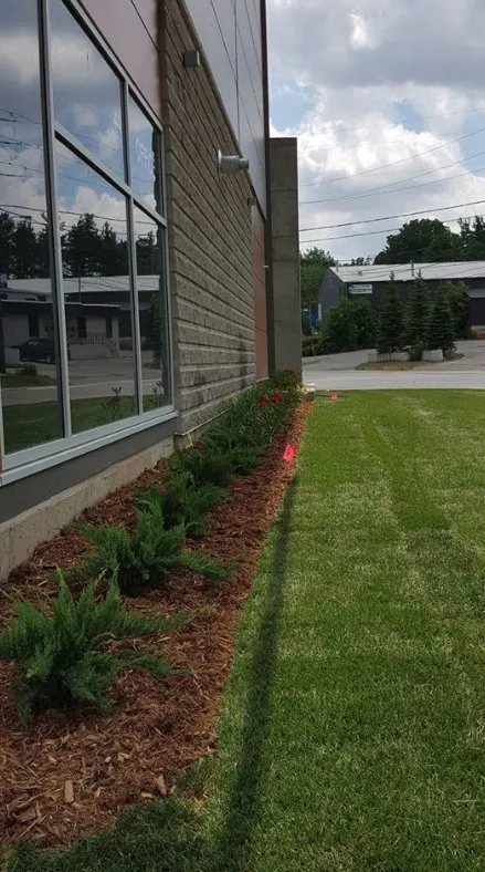 Top-rated yard cleanup service in Aspen Hill, MD by Pablo Castro Company FC Landscaping