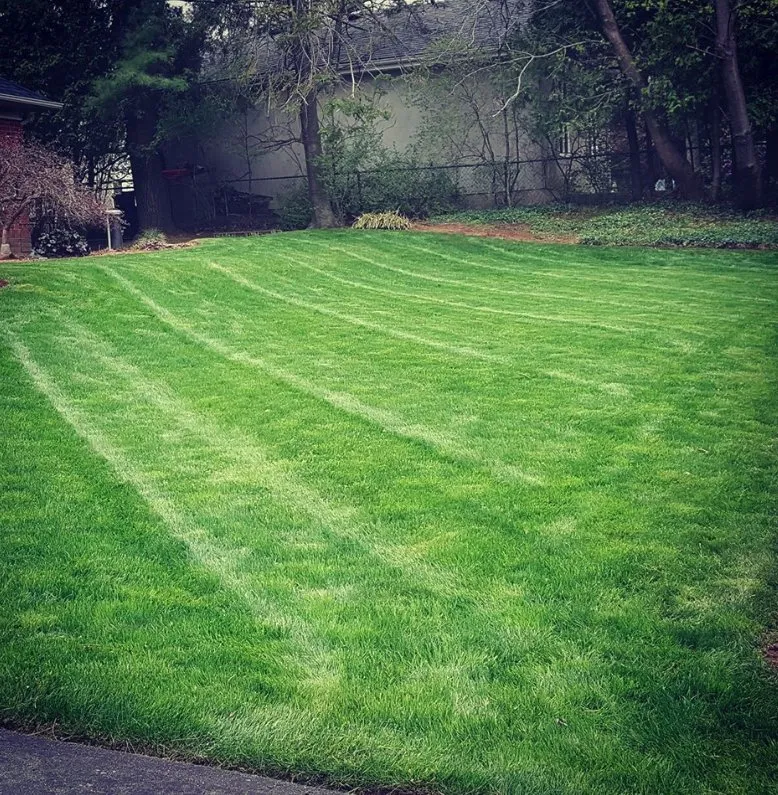 Reliable landscape installation experts serving Aspen Hill, MD - Pablo Castro Company FC Landscaping