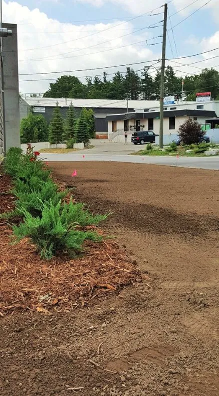 Top-rated yard maintenance for outdoor upgrades across Aspen Hill, MD - Pablo Castro Company FC Landscaping