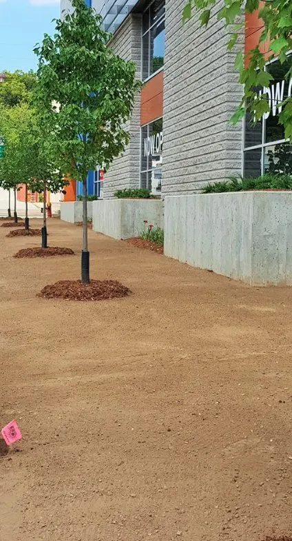 Trusted residential landscaping experts serving Aspen Hill, MD - Pablo Castro Company FC Landscaping