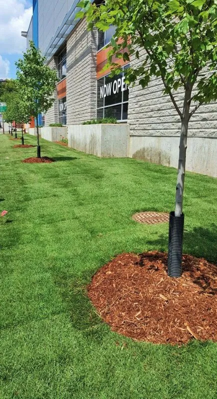 Professional garden landscaping experts serving Aspen Hill, MD - Pablo Castro Company FC Landscaping