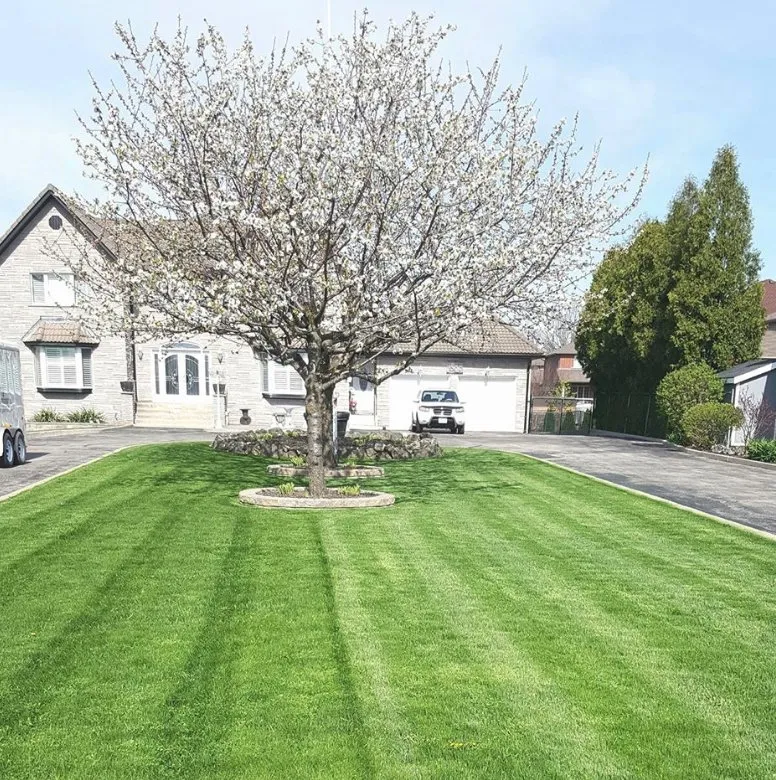 Reliable landscape installation near you across Aspen Hill, MD - Pablo Castro Company FC Landscaping