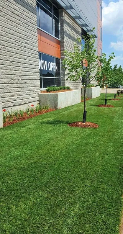 Professional landscape installation for homes in Aspen Hill, MD by Pablo Castro Company FC Landscaping