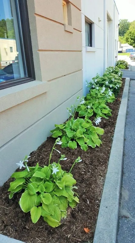 Reliable lawn care service experts serving Aspen Hill, MD - Pablo Castro Company FC Landscaping