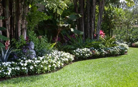 Professional lawn care service near you across Bonita Springs, FL - Pablo Esteban Lawn Care